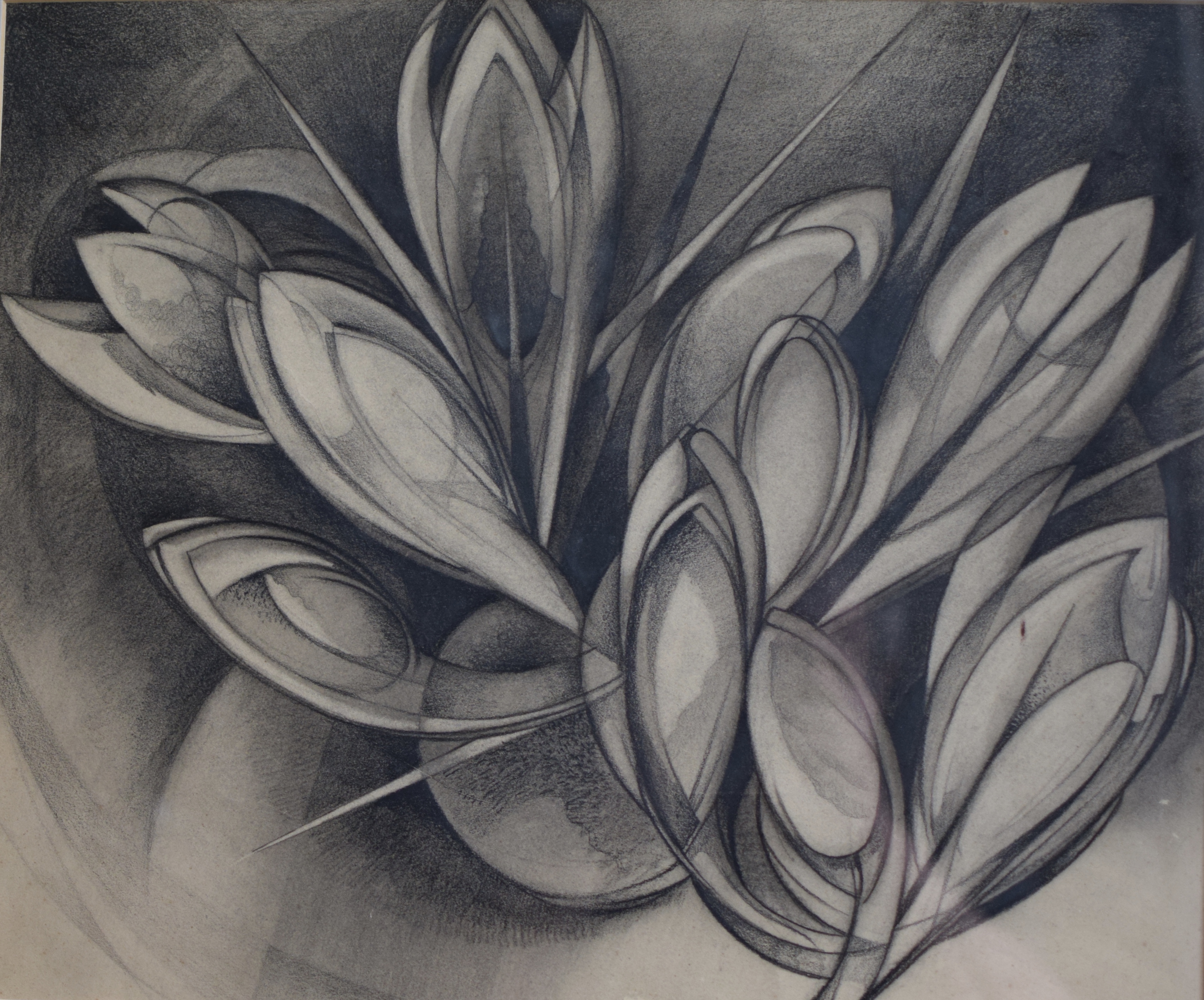 Wim Kersten - Krokussen kopen? Bied vanaf 25!