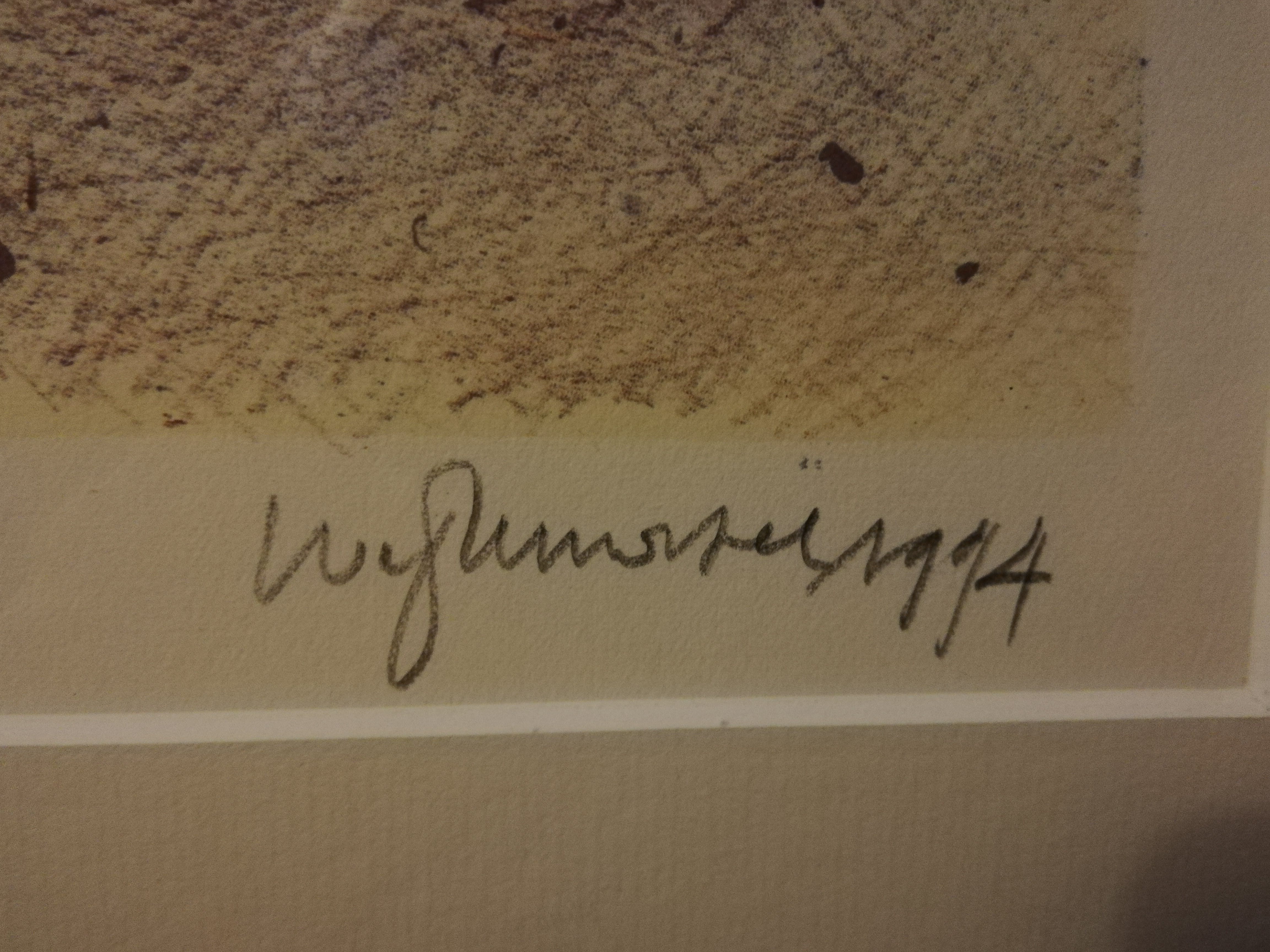 Niet of onleesbaar gesigneerd - Prachtige litho kopen? Bied vanaf 1!