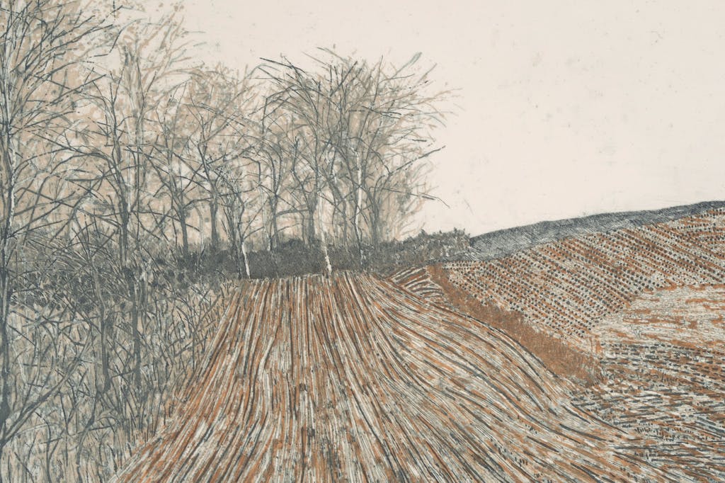 Peter Redeker - Peter Redeker: Ets, Landschaft 77 IV kopen? Bied vanaf 20!