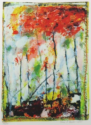 Franz Lauter - Litho, Z.T. Bloemen - Ingelijst kopen? Bied vanaf 35!