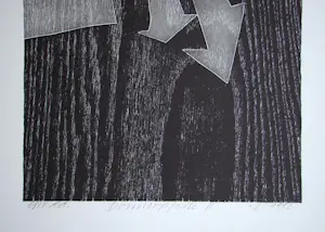 Franz Eggenschwiler - Donnerpfeile II, 1992 - Originele houtsnede, handgesigneerd kopen? Bied vanaf 160!