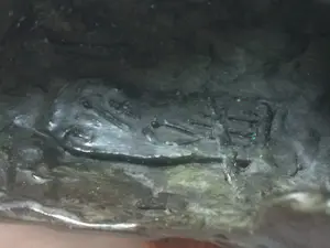 Marion Visione - Demeter kopen? Bied vanaf 650!