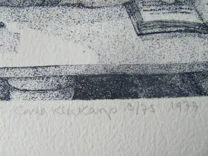 Carla Kleekamp - het onverwachte bezoek kopen? Bied vanaf 60!