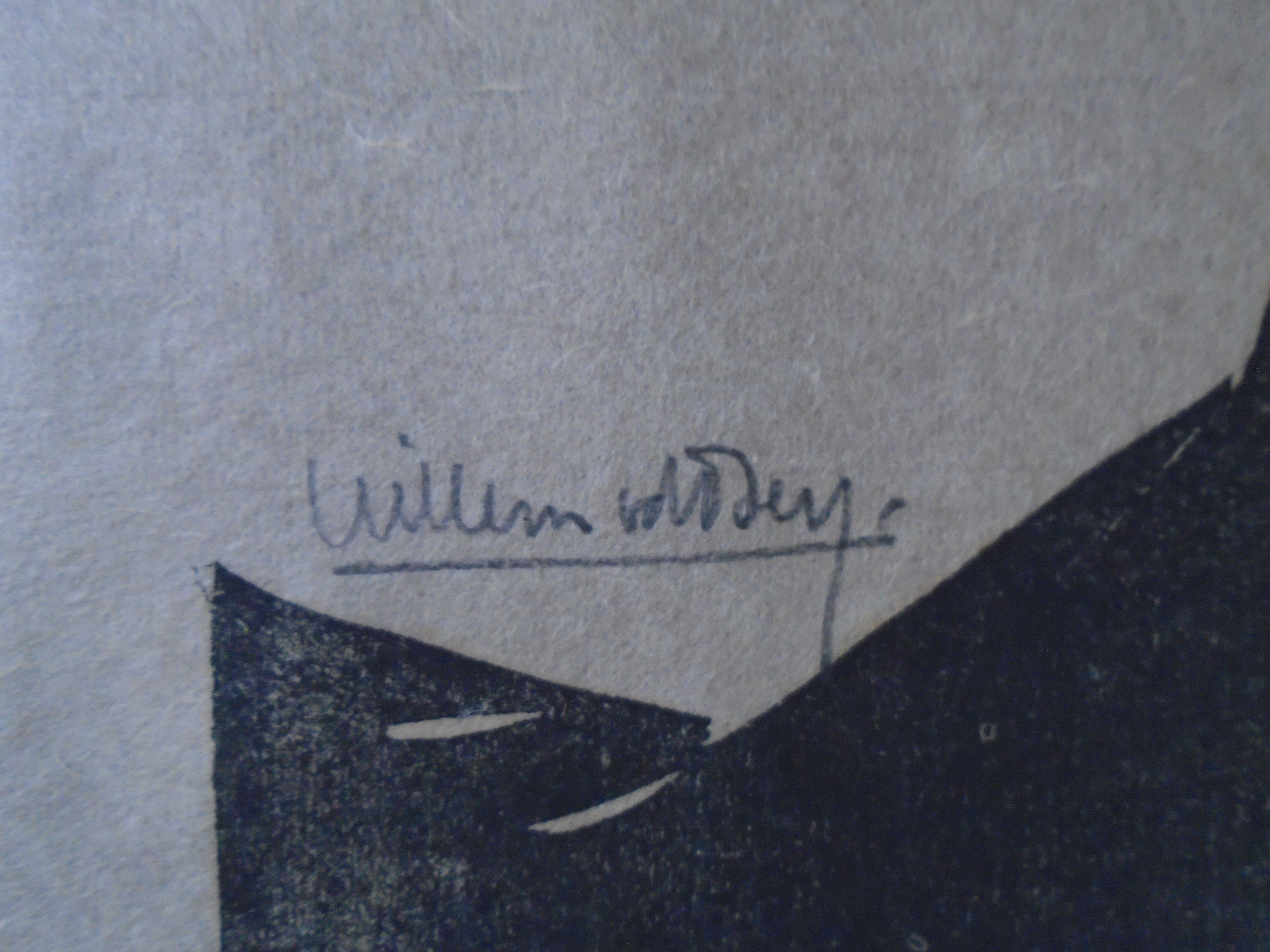 Willem van den Berg - Een gier kopen? Bied vanaf 85!