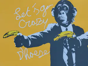 Hannes D'Haese - Let's go crazy kopen? Bied vanaf 99!