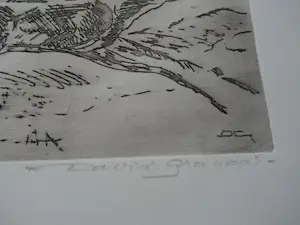 David Granaat - Ets: paarden (Mustangs) kopen? Bied vanaf 49!