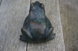 Astrid Veldhuyzen-Koppen - kikker kopen? Bied vanaf 15!