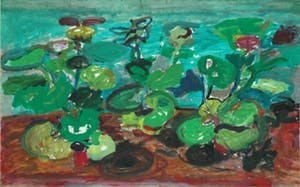 Hans Ebeling Koning - geraniums kopen? Bied vanaf 60!