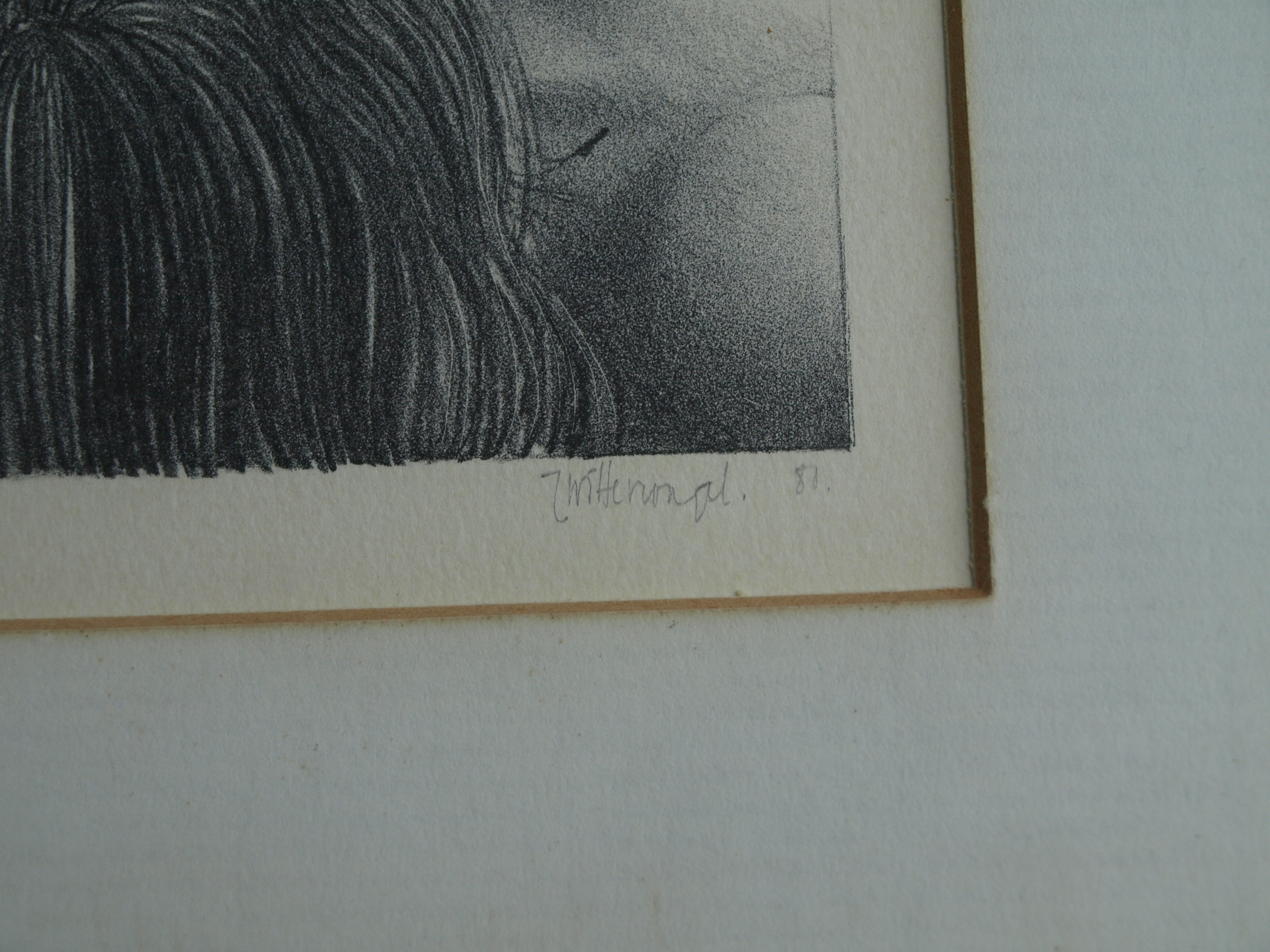 Niet of onleesbaar gesigneerd - Litho, Naakte vrouw – gesigneerd & ingelijst – nr 1/20 - 1981 kopen? Bied vanaf 1!