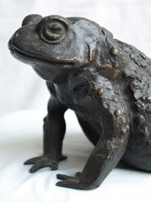 Niet of onleesbaar gesigneerd - Bronzen beeld , Kikker / Pad kopen? Bied vanaf 10!