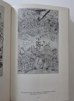 Felicien Rops - Oeuvre Graphique Complete kaufen? Bieten Sie von 99!