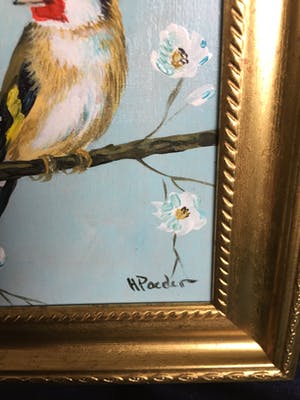 Henk Poeder - Puttertje kopen? Bied vanaf 55!