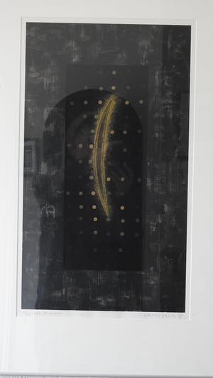 Bert Vredegoor - zie de zon kopen? Bied vanaf 10!