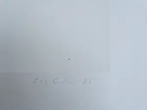 Sigurdur Gudmundsson - Grote Artist Proof (oplage slechts 12 ex) Lithografie "genetic Poem" potloodges. kopen? Bied vanaf 85!