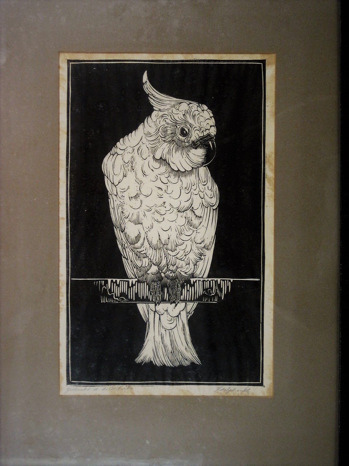 Jan Schonk - Mooie karakteristieke Jan Schonk zelfgedrukte 1920 Linosnede "Kaketoe" verkocht voor € 55!