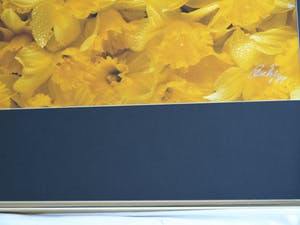 Paul Huf - Foto , Flowers : Gele Narcissen – gesigneerd & ingelijst - 1984 kopen? Bied vanaf 1!