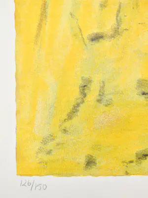 Willem van Scheijndel - California kopen? Bied vanaf 75!