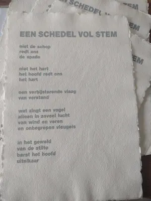 Corneille - Een schedel vol stem (5st) kopen? Bied vanaf 1!
