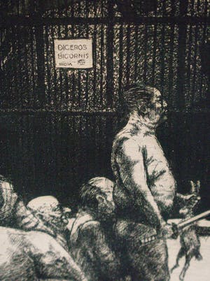 Niet of onleesbaar gesigneerd - Dierentuin kopen? Bied vanaf 1!