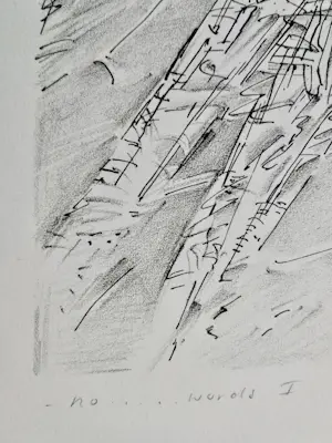 Kees Spermon - Litho "No...words I" kopen? Bied vanaf 10!