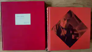 Theo van Doesburg - 2 boeken: Schilder en architect/Oeuvre catalogus verkocht voor € 79!