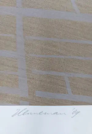 Jeroen Henneman - Land in vogelvlucht kopen? Bied vanaf 80!