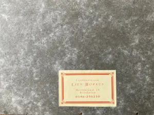 Dianne Bakker - Klaprozen kopen? Bied vanaf 30!