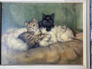 De Ruys-Tydeman - Poezen kopen? Bied vanaf 450!