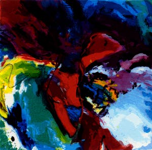 Tilly Wils - Papaver kopen? Bied vanaf 25!