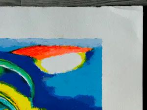 Saskia Bremer - Boa Vista kopen? Bied vanaf 45!