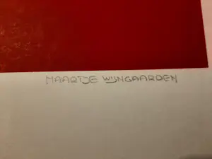 Maartje Wijngaarden - Zeefdruk ABSTRAKT Hand gesigneerd kopen? Bied vanaf 40!