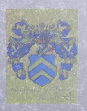 Cornelie Tollens - C-print, Britney's Knickers - Ingelijst kopen? Bied vanaf 1!