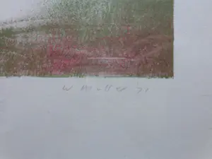 Wout Muller - WONDERKIND / KLEURLITHO / 51x41cm / KADER / SIG / 1971 kopen? Bied vanaf 25!