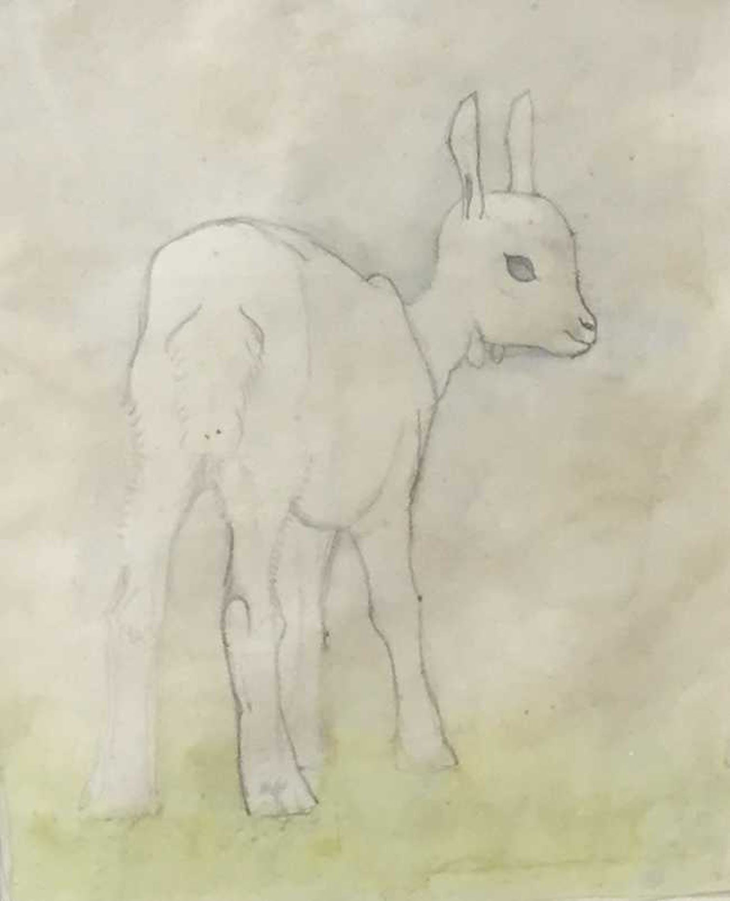 Jan Wittenberg C4870, Geitje Verkocht Kunstveiling.nl