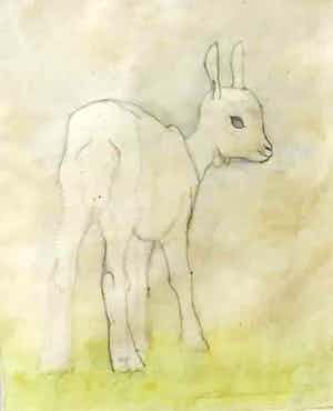 Jan Wittenberg - C4870, Geitje verkocht voor € 350!