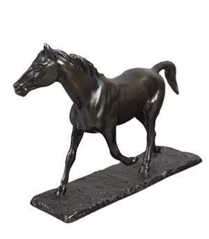 Irénée Rochard - Paard in draf kopen? Bied vanaf 2000!