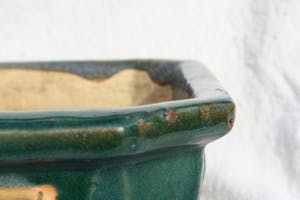 Niet of onleesbaar gesigneerd - bonsai bak kopen? Bied vanaf 1!