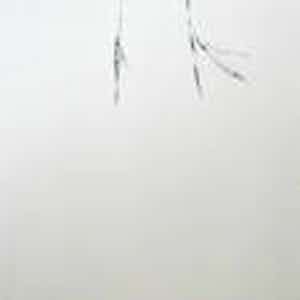 Armando - Der Baum verkocht voor € 1!