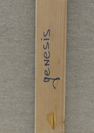 Reggy Gunn - Acryl op doek, Genesis (Zeer Groot) kopen? Bied vanaf 300!