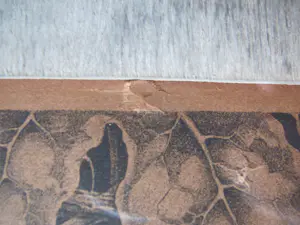 Anton Pieck - Passiebloemen kopen? Bied vanaf 75!