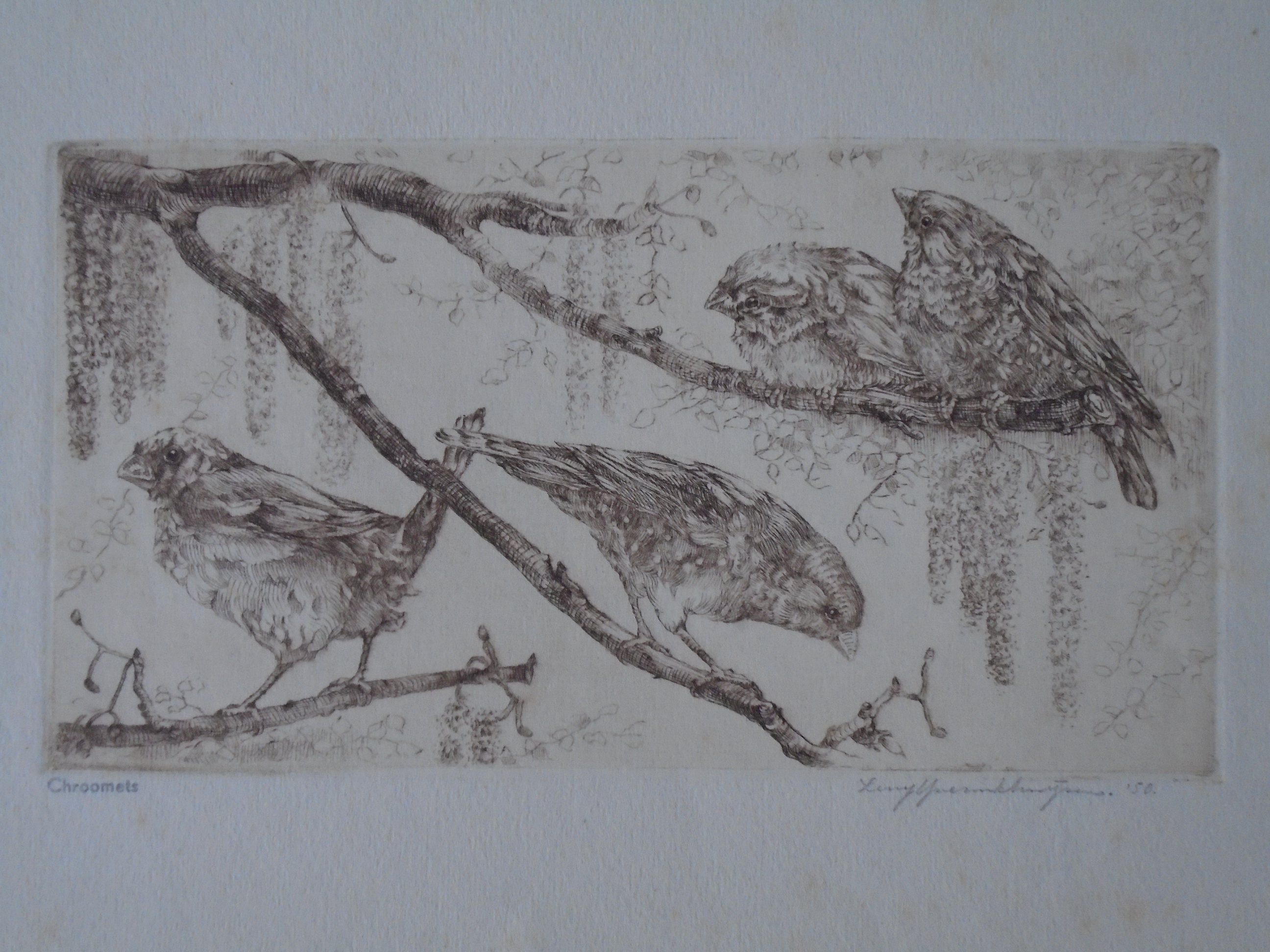 Leny IJserinkhuijsen - Mussen kopen? Bied vanaf 20!