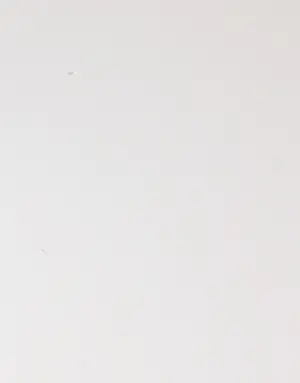 Margriet Thissen - Zeefdruk met houtskool, Zonder titel - Ingelijst (Zeer groot) kopen? Bied vanaf 1!