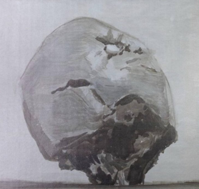 Luc Tuymans - Apple - digitale gesigneerde print verkocht voor € 390!