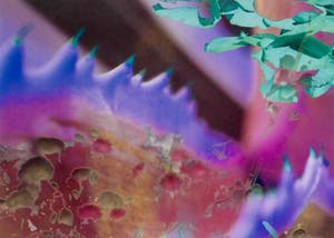 Reinoud van Vught - zonder titel kopen? Bied vanaf 50!