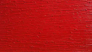 Bruno CANTAIS - Fashion Red kopen? Bied vanaf 200!