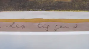 Madeleen Brinkman - Lex liggend kopen? Bied vanaf 20!