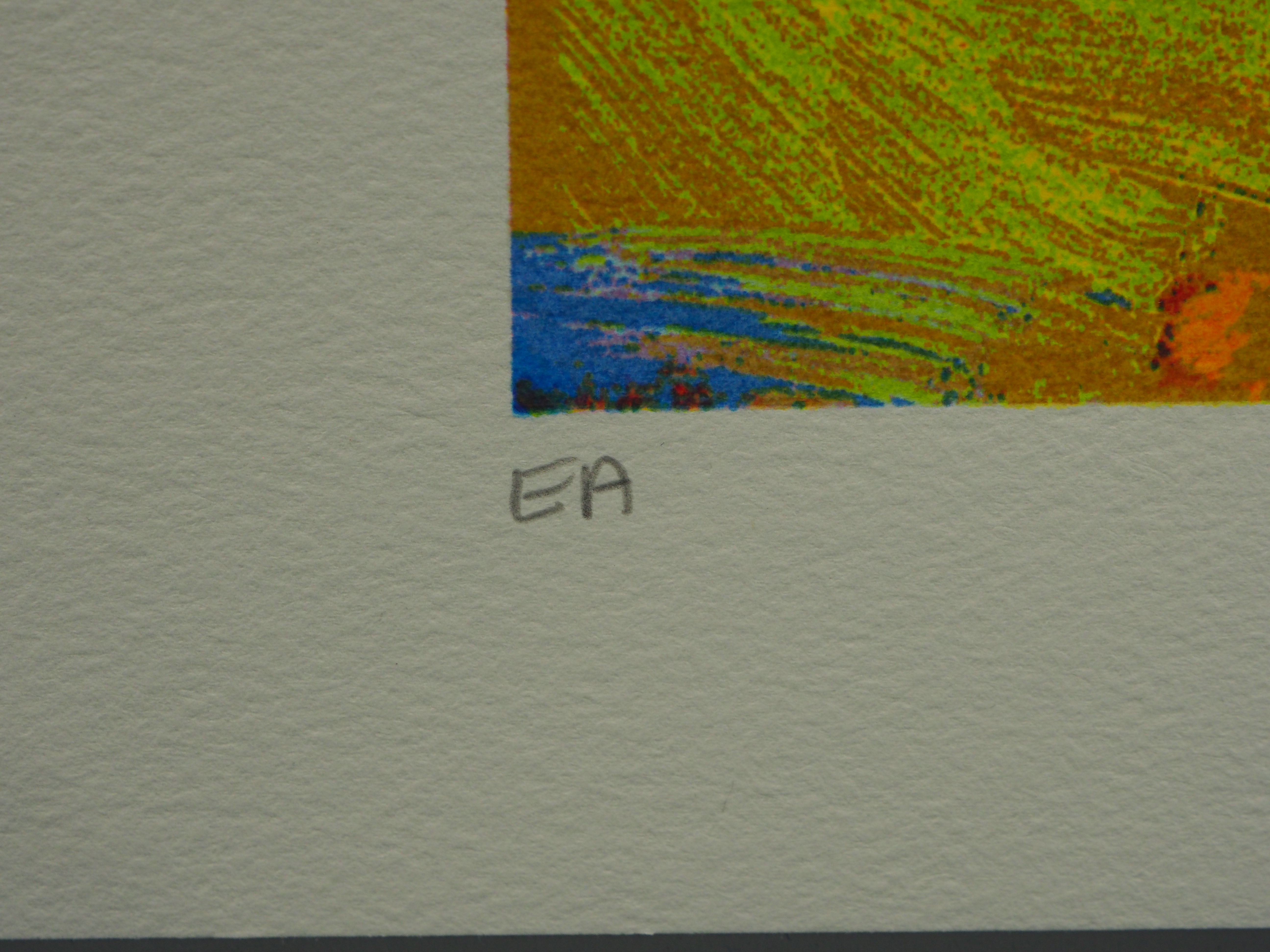 Jentsje Popma - Zomer kopen? Bied vanaf 60!