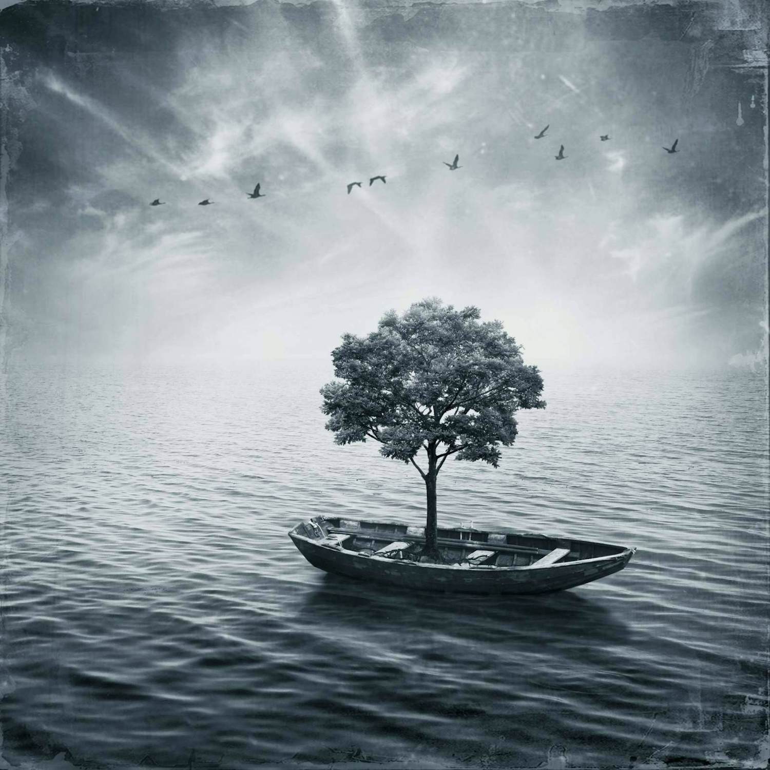 Buy Sarolta Bàn - 'Tranquility' (2010)? Bid from 60!