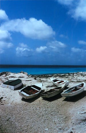Paul Huf - Foto, Bonaire, E.E.G BLVD - Ingelijst kopen? Bied vanaf 1!