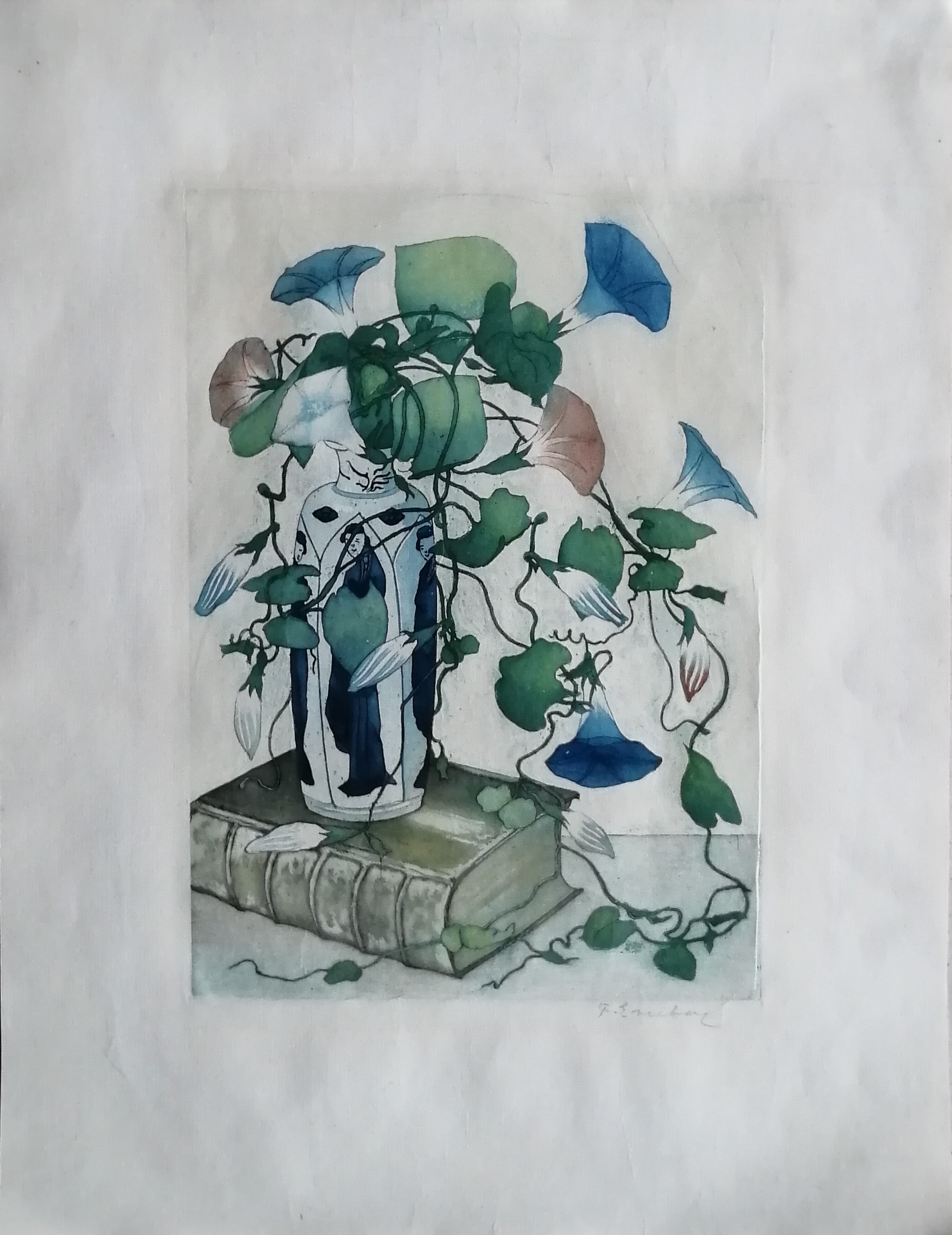 Frans Everbag - Tak met akkerwinde kopen? Bied vanaf 70!